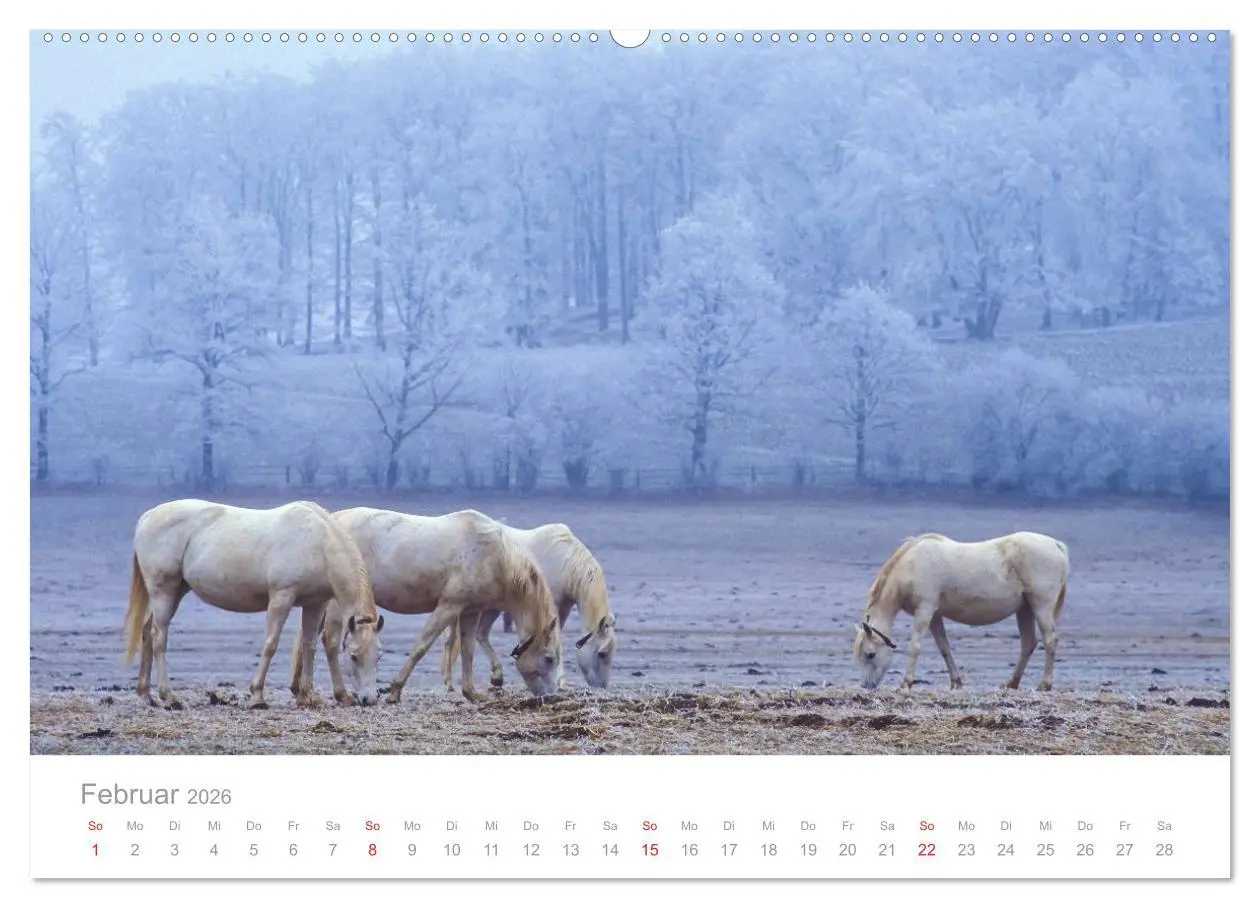 Bild: 9783516212884 | SCHWÄBISCHE ALB W.Dieterich (hochwertiger Premium Wandkalender 2026...