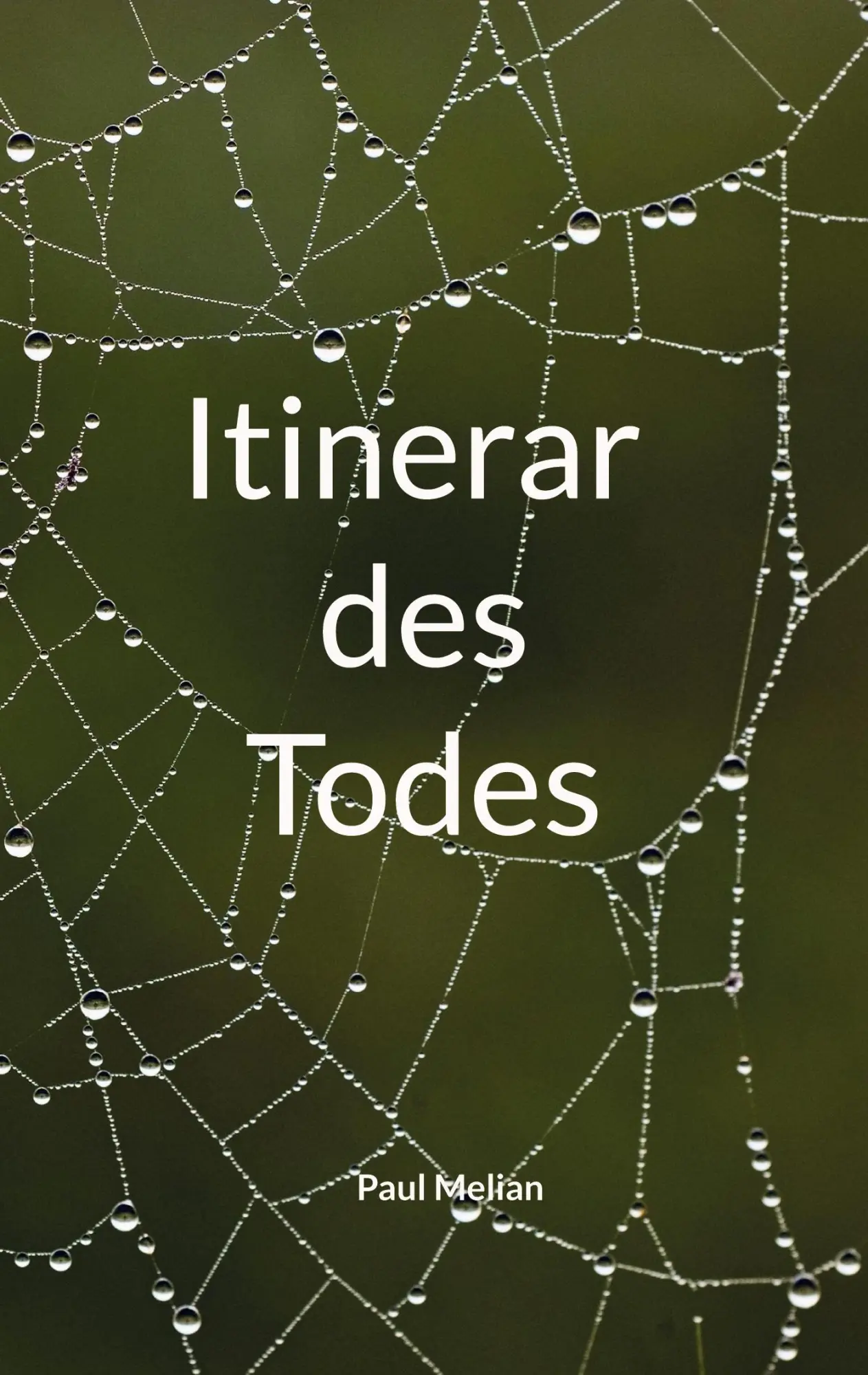 Cover: 9783695712984 | Itinerar des Todes | Paul Melian | Taschenbuch | 220 S. | Deutsch