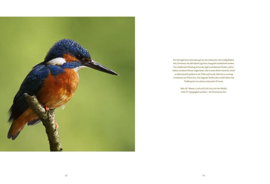 Bild: 9783941803084 | Die Mecklenburgische Seenplatte | Buch | Deutsch | 2012 | Hahn, Jörg