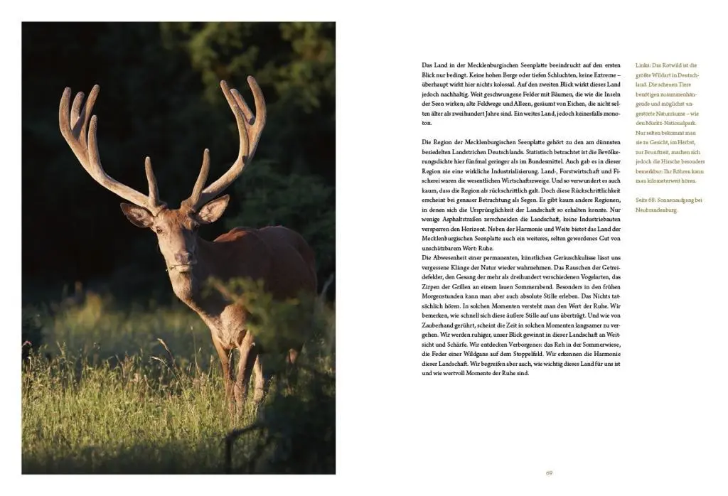 Bild: 9783941803084 | Die Mecklenburgische Seenplatte | Buch | Deutsch | 2012 | Hahn, Jörg