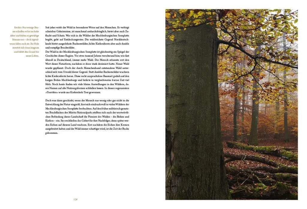 Bild: 9783941803084 | Die Mecklenburgische Seenplatte | Buch | Deutsch | 2012 | Hahn, Jörg