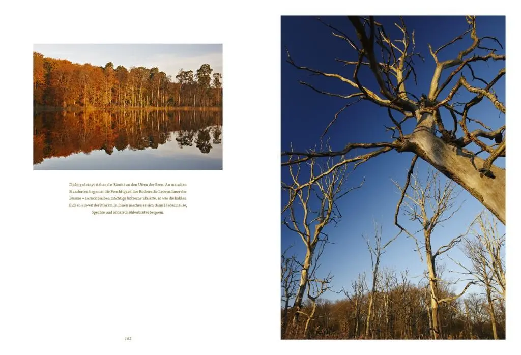 Bild: 9783941803084 | Die Mecklenburgische Seenplatte | Buch | Deutsch | 2012 | Hahn, Jörg