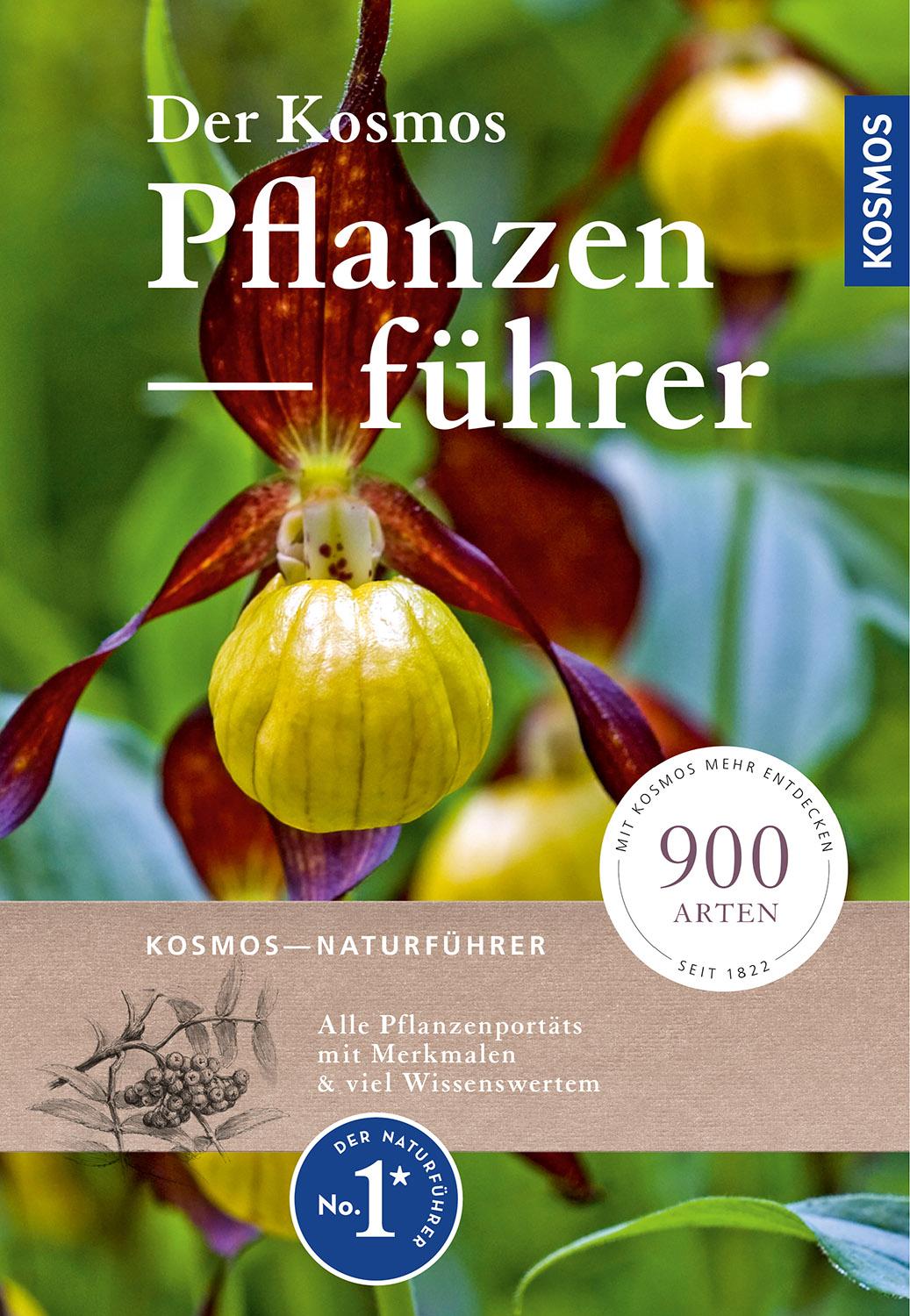 Cover: 9783440163184 | Der Kosmos-Pflanzenführer | 900 Arten | Taschenbuch | 448 S. | Deutsch