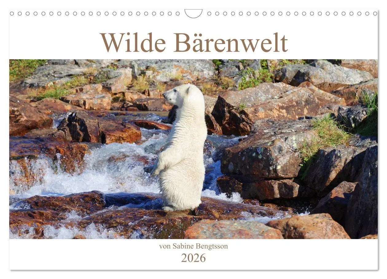 Cover: 9783457603284 | Wilde Bärenwelt (Wandkalender 2026 DIN A3 quer), CALVENDO...