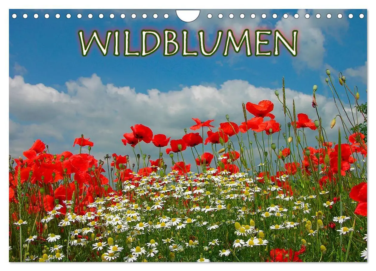 Cover: 9783516173284 | Wildblumen 2026 (Wandkalender 2026 DIN A4 quer), CALVENDO...