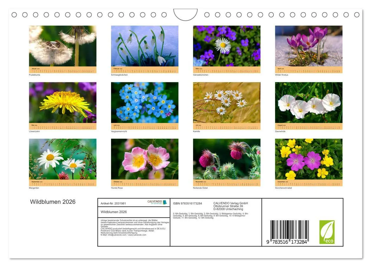 Bild: 9783516173284 | Wildblumen 2026 (Wandkalender 2026 DIN A4 quer), CALVENDO...