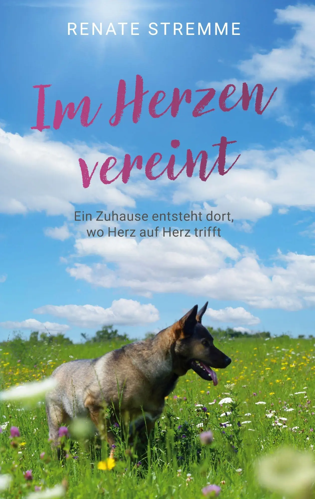 Cover: 9783819283284 | Im Herzen vereint | Ein Zuhause entsteht dort, wo Herz auf Herz trifft