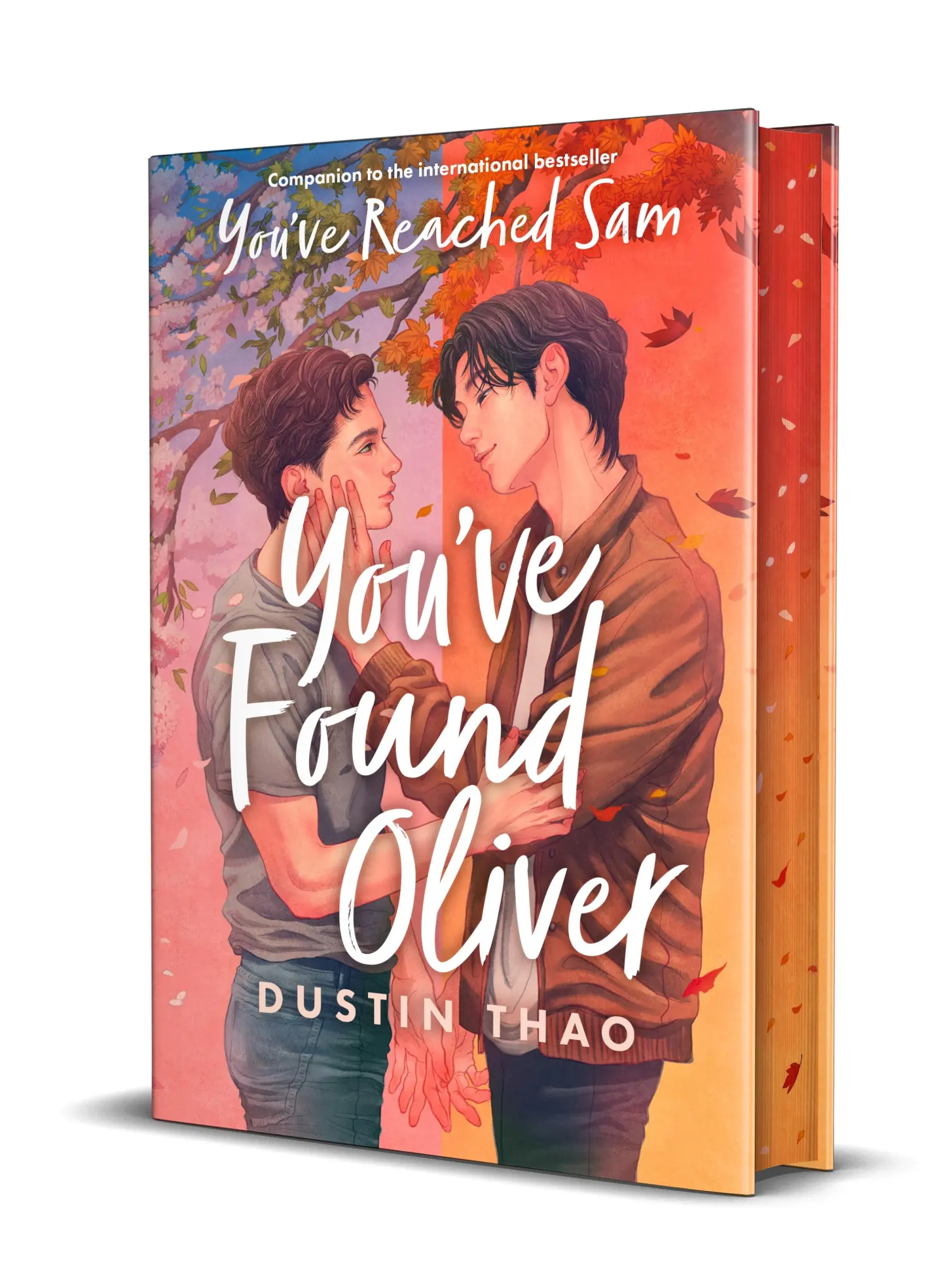 Cover: 9781035053384 | You've Found Oliver. Special Edition | Dustin Thao | Buch | 304 S. Cover: 9781035053384 | You've Found Oliver. Special Edition | Dustin Thao | Buch | 304 S.