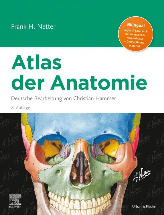 Cover: 9783437413384 | Netter Atlas der Anatomie | Deutsche Bearbeitung von Christian Hammer
