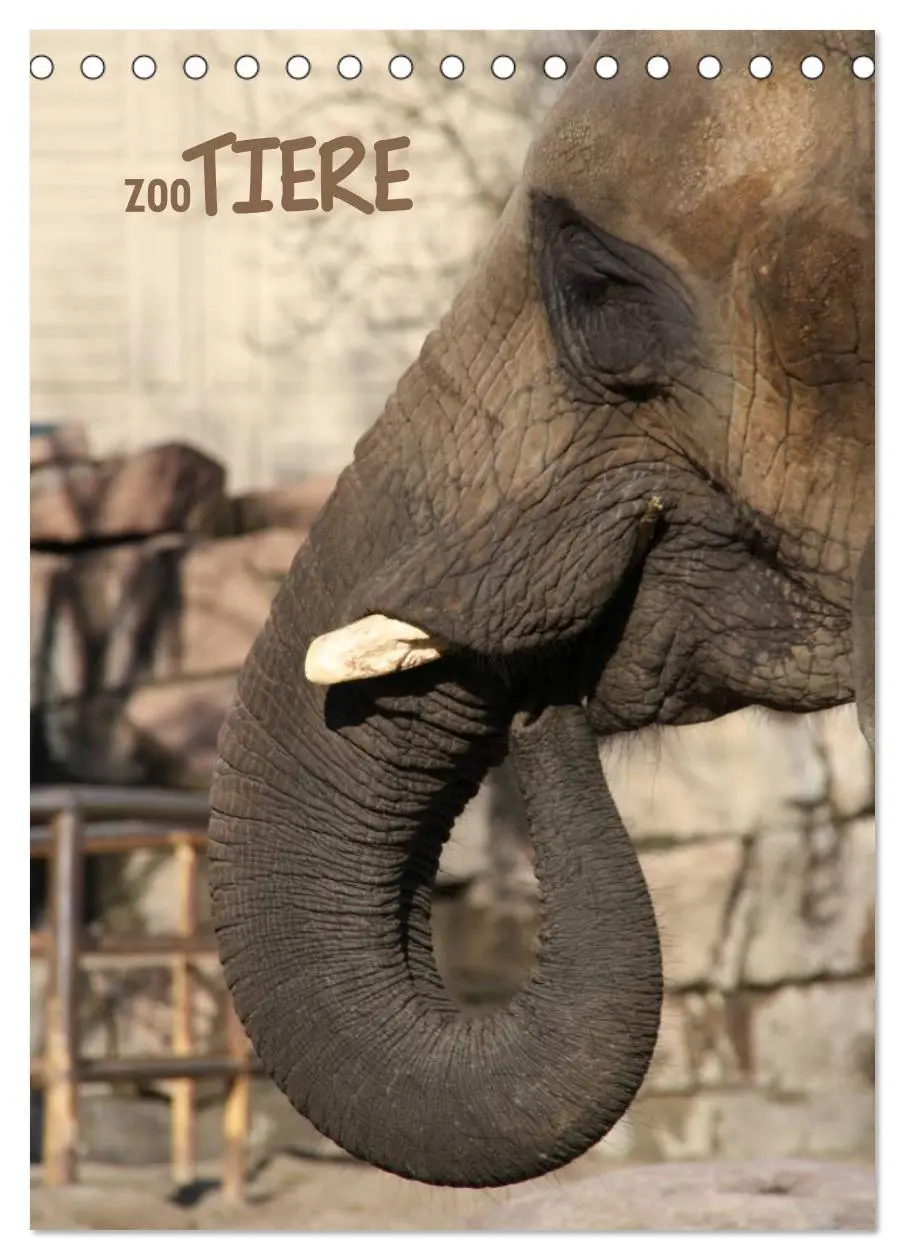 Cover: 9783457073384 | Zootiere (Tischkalender 2025 DIN A5 hoch), CALVENDO Monatskalender