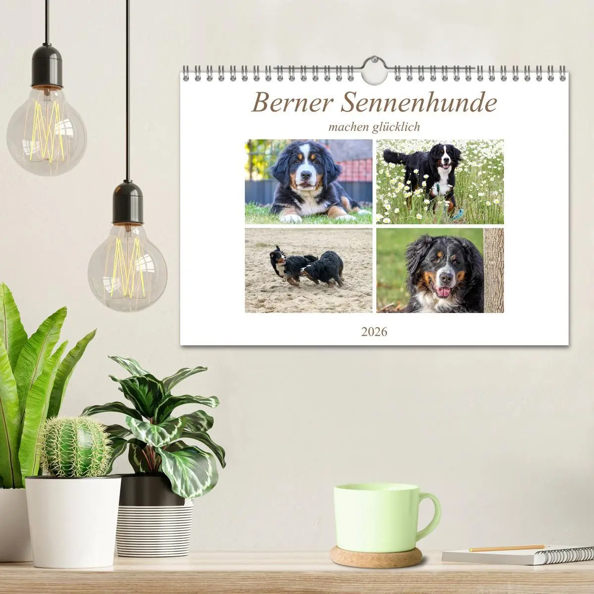 Bild: 9783457833384 | Berner Sennenhunde machen glücklich (Wandkalender 2026 DIN A4...