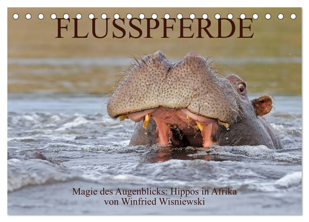 Cover: 9783516163384 | Flusspferde Magie des Augenblicks - Hippos in Afrika (Tischkalender...