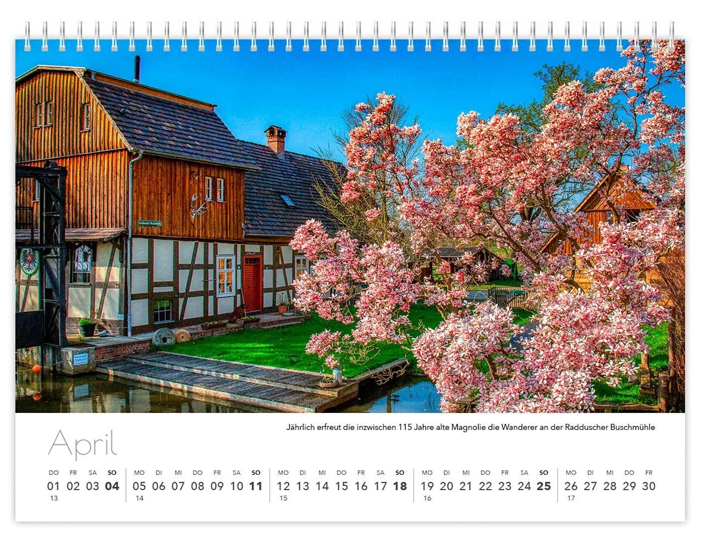 Bild: 9783912303384 | Kalender Spreewald kompakt - Peter Becker 2027 | K4 Verlag (u. a.)