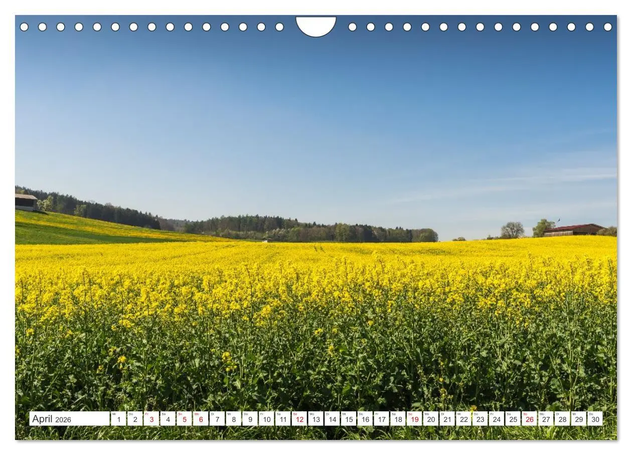 Bild: 9783457993484 | Kanton Thurgau (Wandkalender 2026 DIN A4 quer), CALVENDO...
