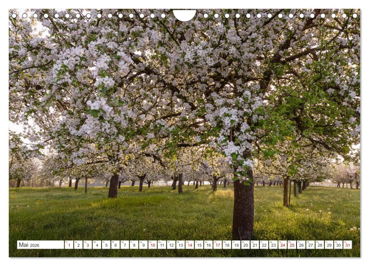 Bild: 9783457993484 | Kanton Thurgau (Wandkalender 2026 DIN A4 quer), CALVENDO...