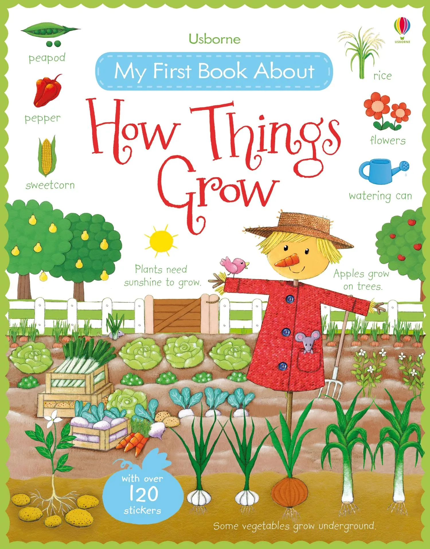Cover: 9781409593584 | My First Book About How Things Grow | Felicity Brooks | Taschenbuch