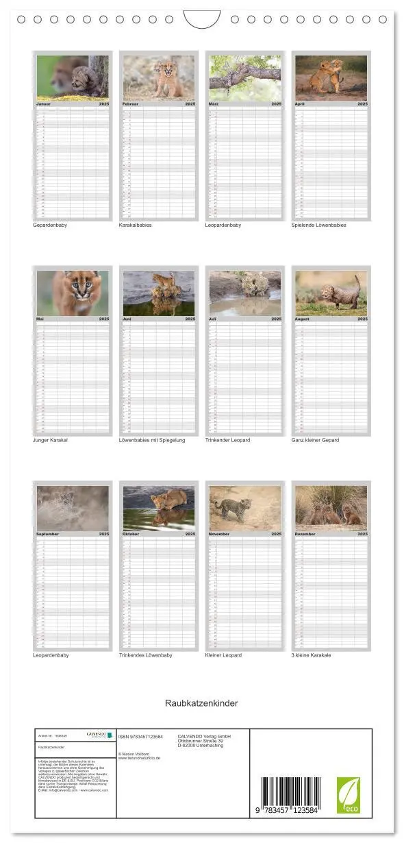 Bild: 9783457123584 | Familienplaner 2025 - Raubkatzenkinder mit 5 Spalten (Wandkalender,...