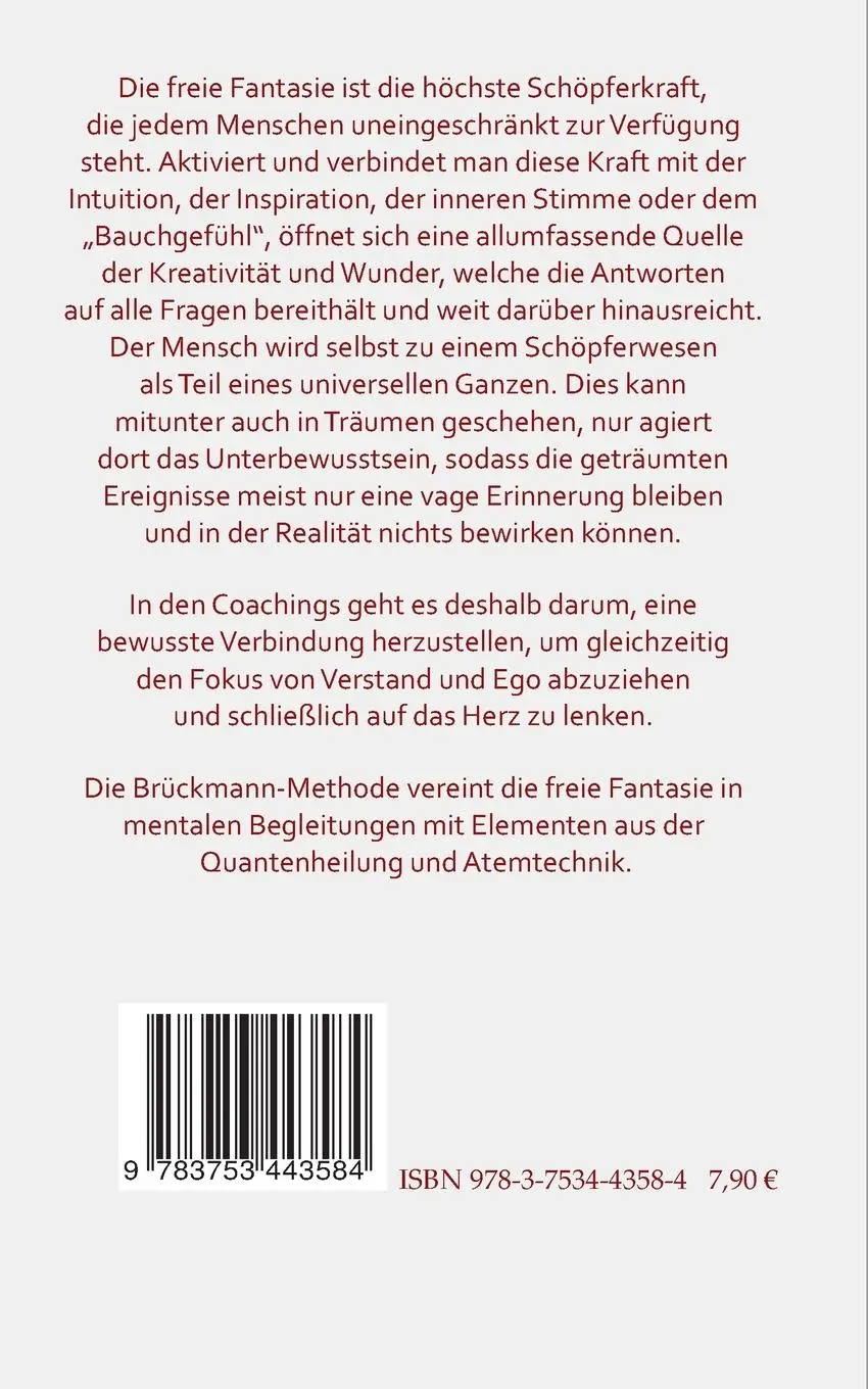 Rückseite: 9783753443584 | Die Brückmann-Methode | Erlebbare Wege in fantastischen Welten | Buch