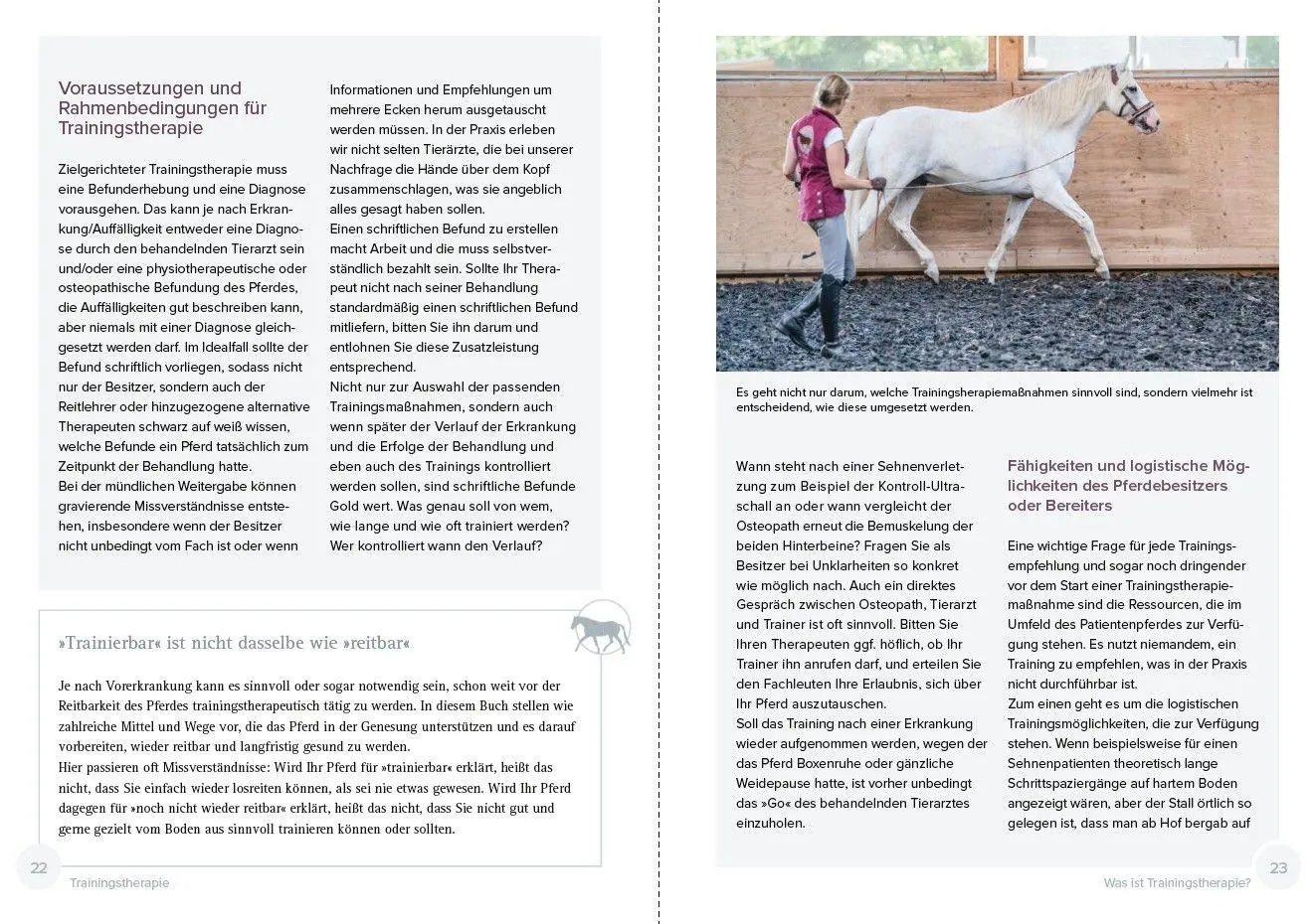Bild: 9783275023684 | Trainingstherapie | Claudia Weingand (u. a.) | Taschenbuch | 176 S.