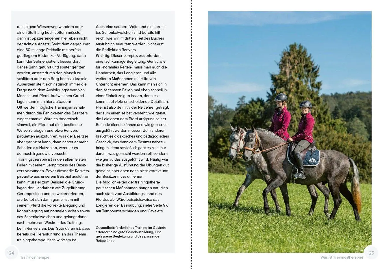 Bild: 9783275023684 | Trainingstherapie | Claudia Weingand (u. a.) | Taschenbuch | 176 S.