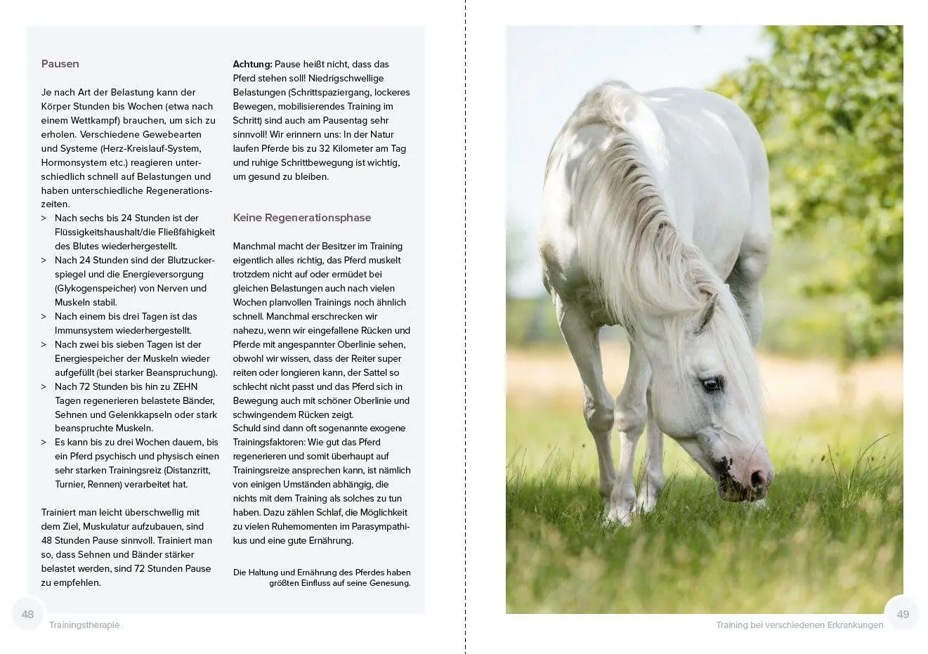 Bild: 9783275023684 | Trainingstherapie | Claudia Weingand (u. a.) | Taschenbuch | 176 S.