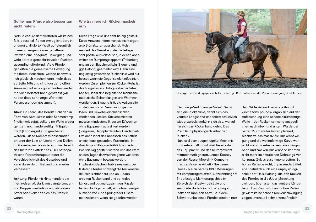 Bild: 9783275023684 | Trainingstherapie | Claudia Weingand (u. a.) | Taschenbuch | 176 S.