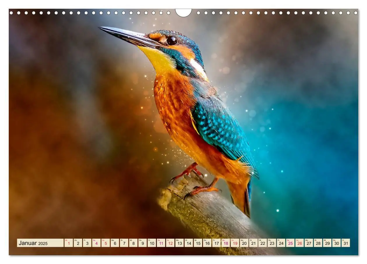 Bild: 9783435333684 | Wunderschöner Eisvogel (Wandkalender 2025 DIN A3 quer), CALVENDO...