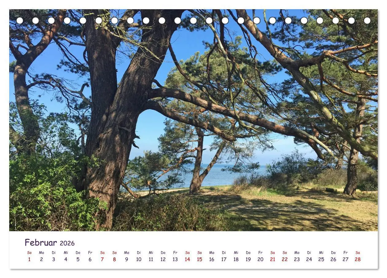 Bild: 9783457663684 | Natur und Landschaft Mecklenburg - Vorpommern 2026 (Tischkalender...