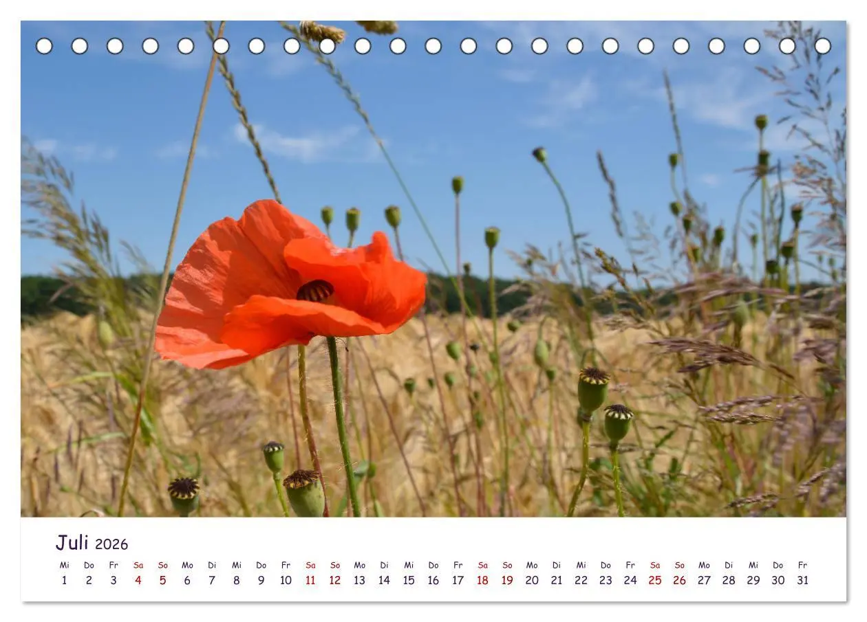 Bild: 9783457663684 | Natur und Landschaft Mecklenburg - Vorpommern 2026 (Tischkalender...
