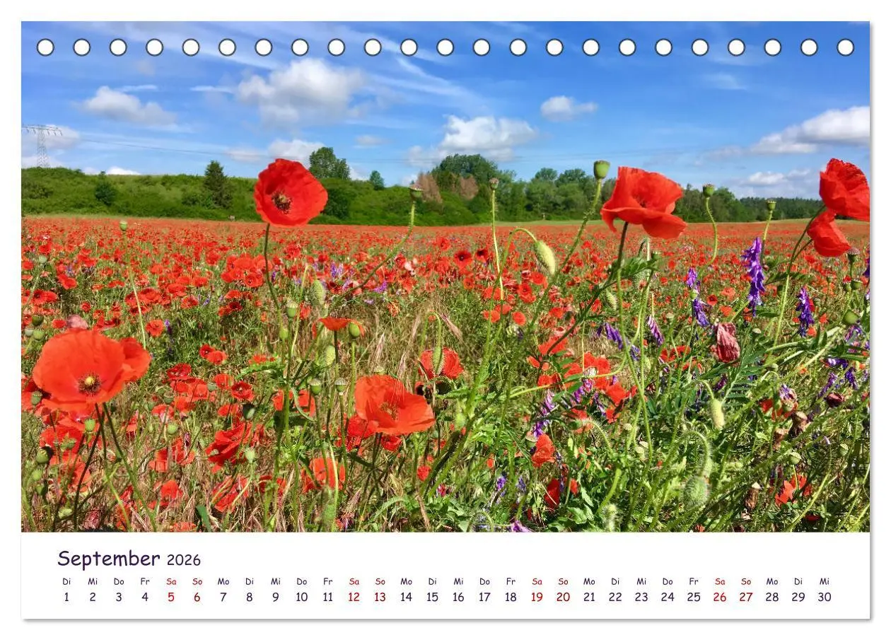 Bild: 9783457663684 | Natur und Landschaft Mecklenburg - Vorpommern 2026 (Tischkalender...