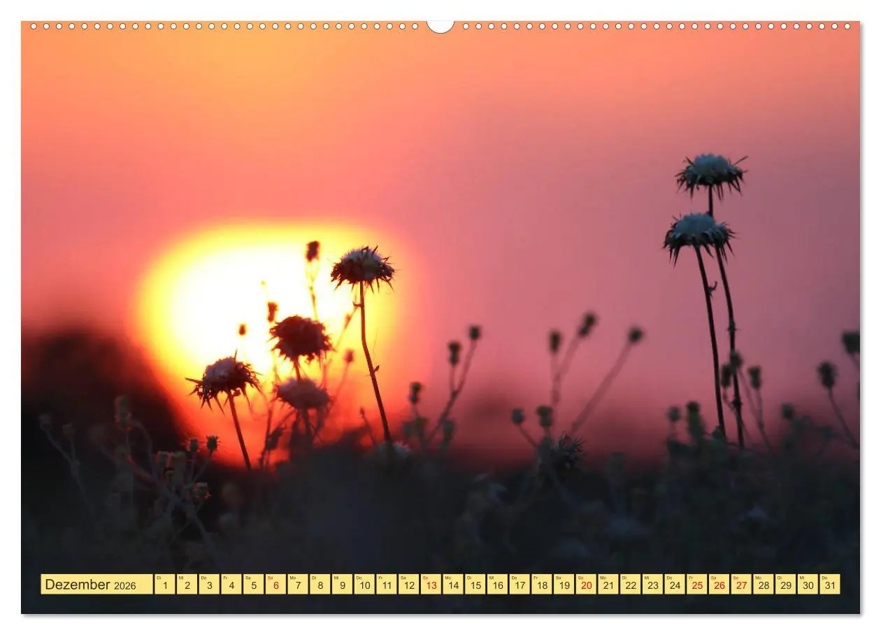 Bild: 9783457733684 | GEORGIEN (hochwertiger Premium Wandkalender 2026 DIN A2 quer),...