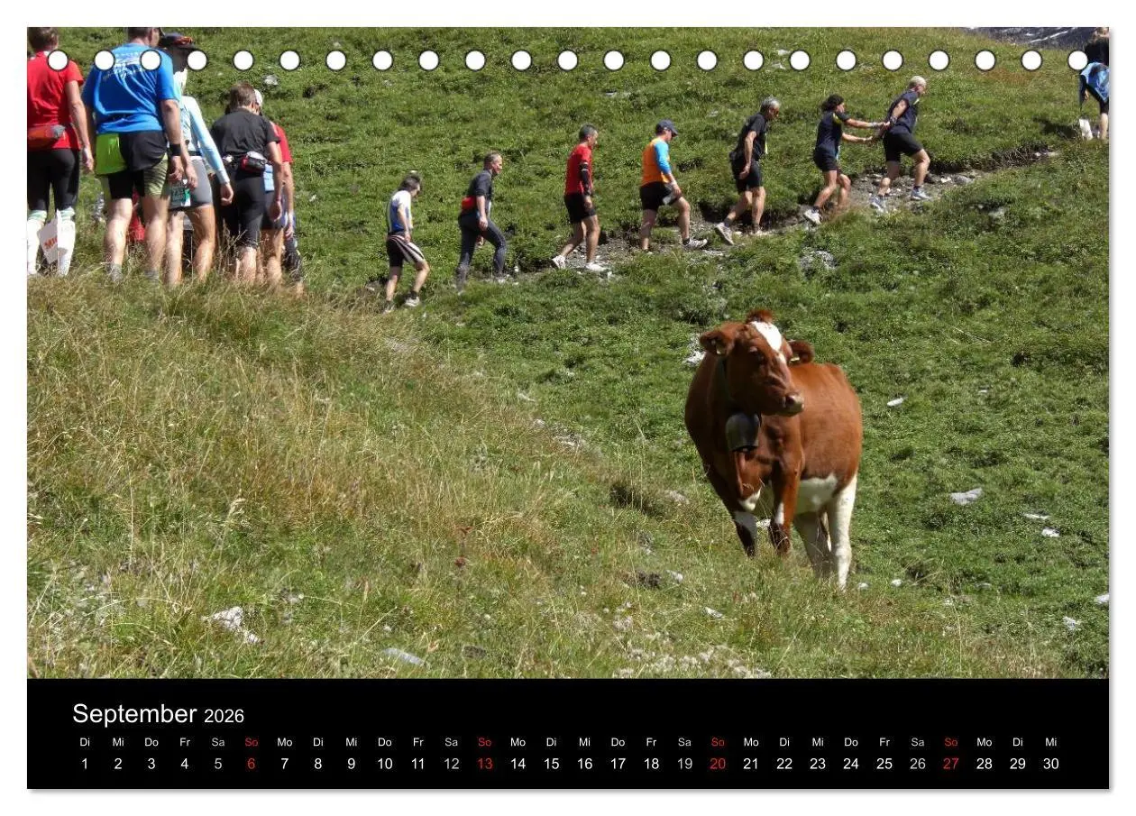 Bild: 9783516203684 | Der Jungfrau-Marathon (Tischkalender 2026 DIN A5 quer), CALVENDO...
