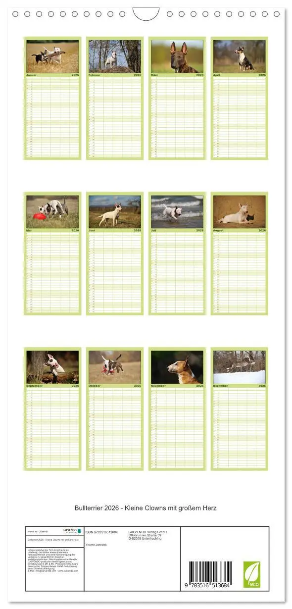 Bild: 9783516513684 | Familienplaner 2026 - Bullterrier 2026 - Kleine Clowns mit großem...