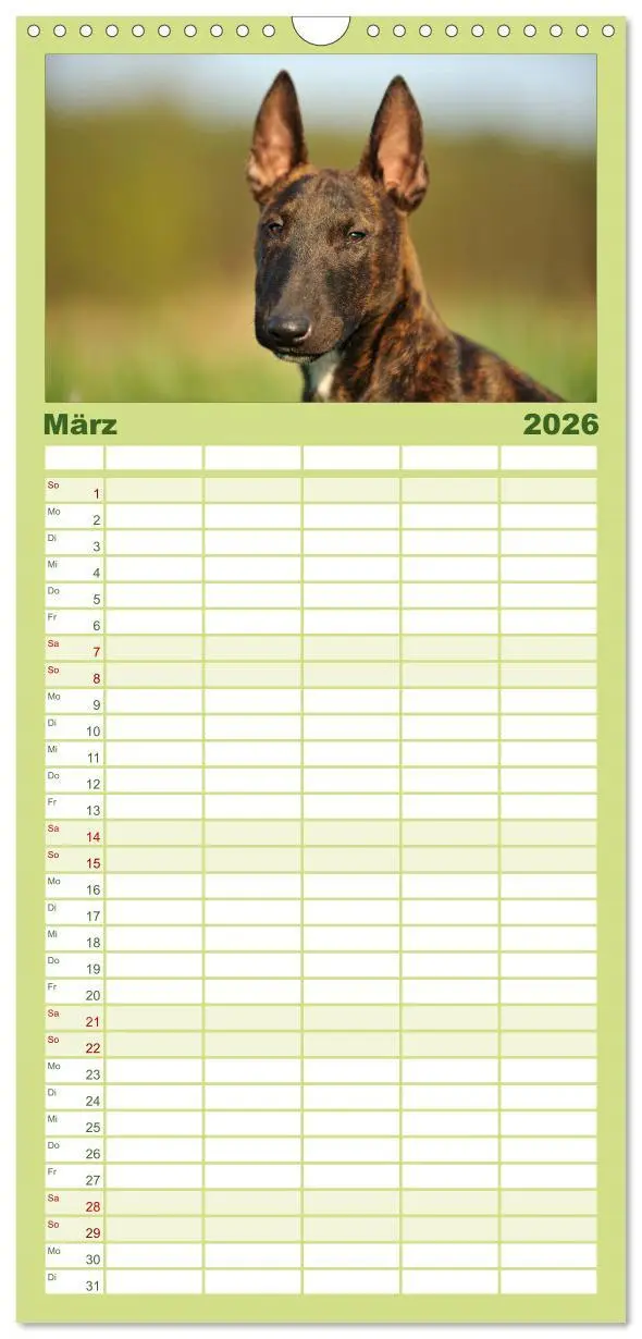 Bild: 9783516513684 | Familienplaner 2026 - Bullterrier 2026 - Kleine Clowns mit großem...