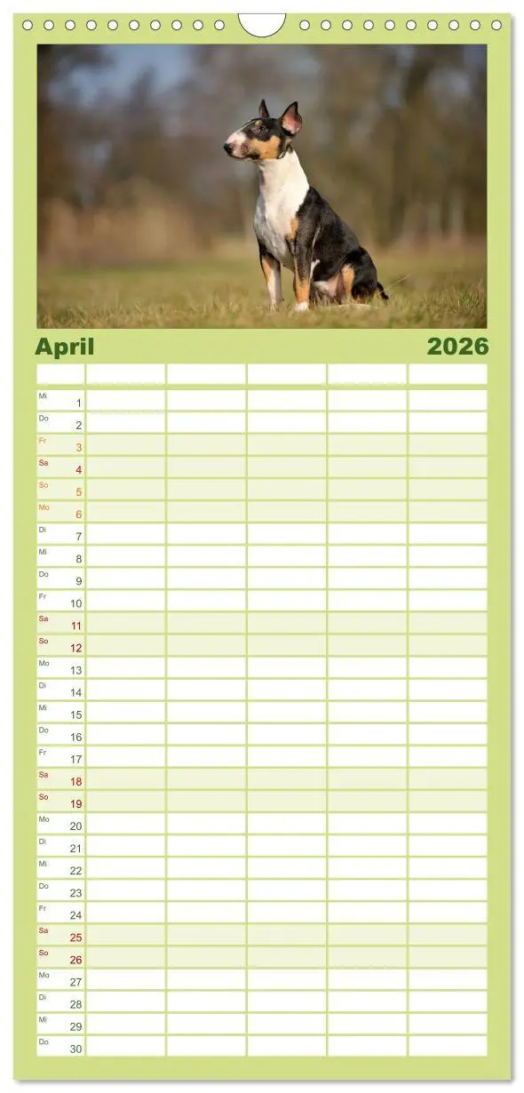Bild: 9783516513684 | Familienplaner 2026 - Bullterrier 2026 - Kleine Clowns mit großem...