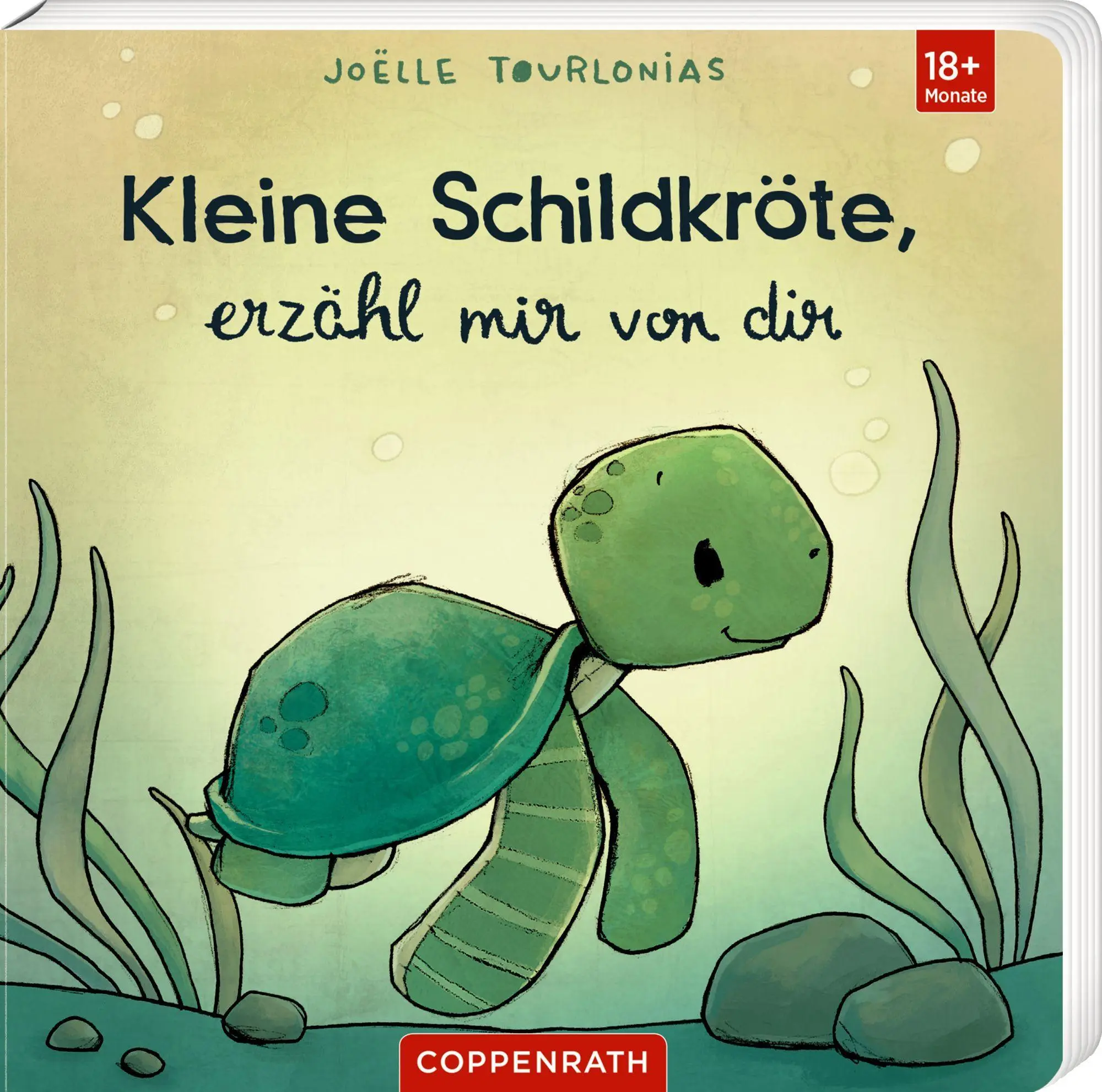 Cover: 9783649653684 | Kleine Schildkröte, erzähl mir von dir | Liebling | Joëlle Tourlonias
