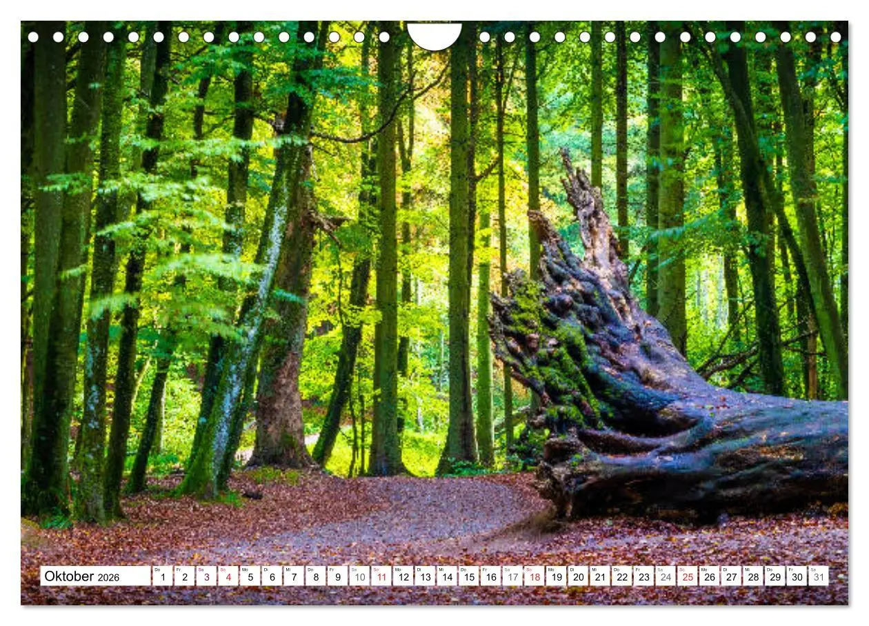 Bild: 9783457723784 | Insel Rügen - Meine wilde Ostsee-Romanze (Wandkalender 2026 DIN A4...
