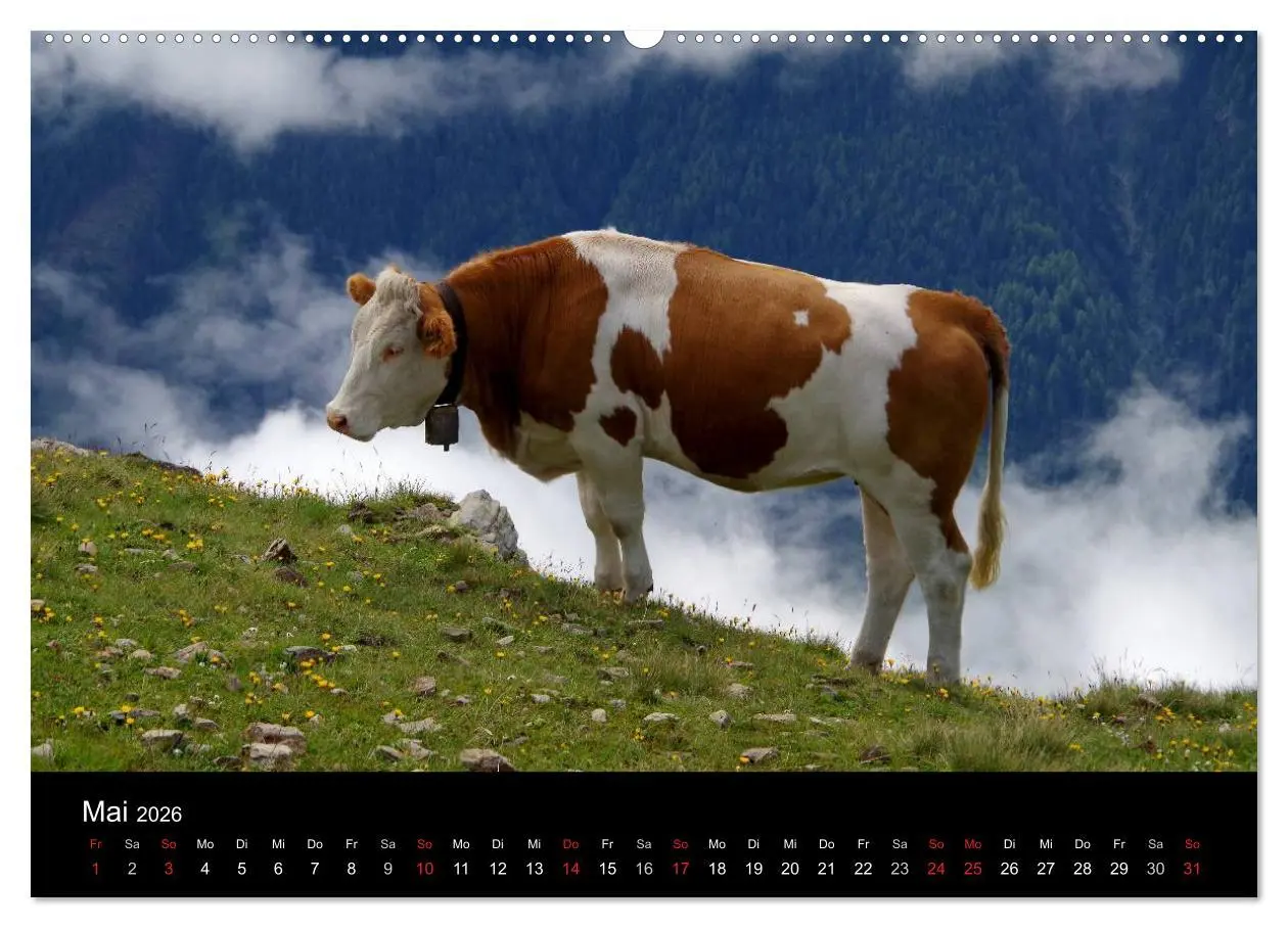 Bild: 9783516123784 | Im Tauferer Ahrntal in Südtirol (hochwertiger Premium Wandkalender...