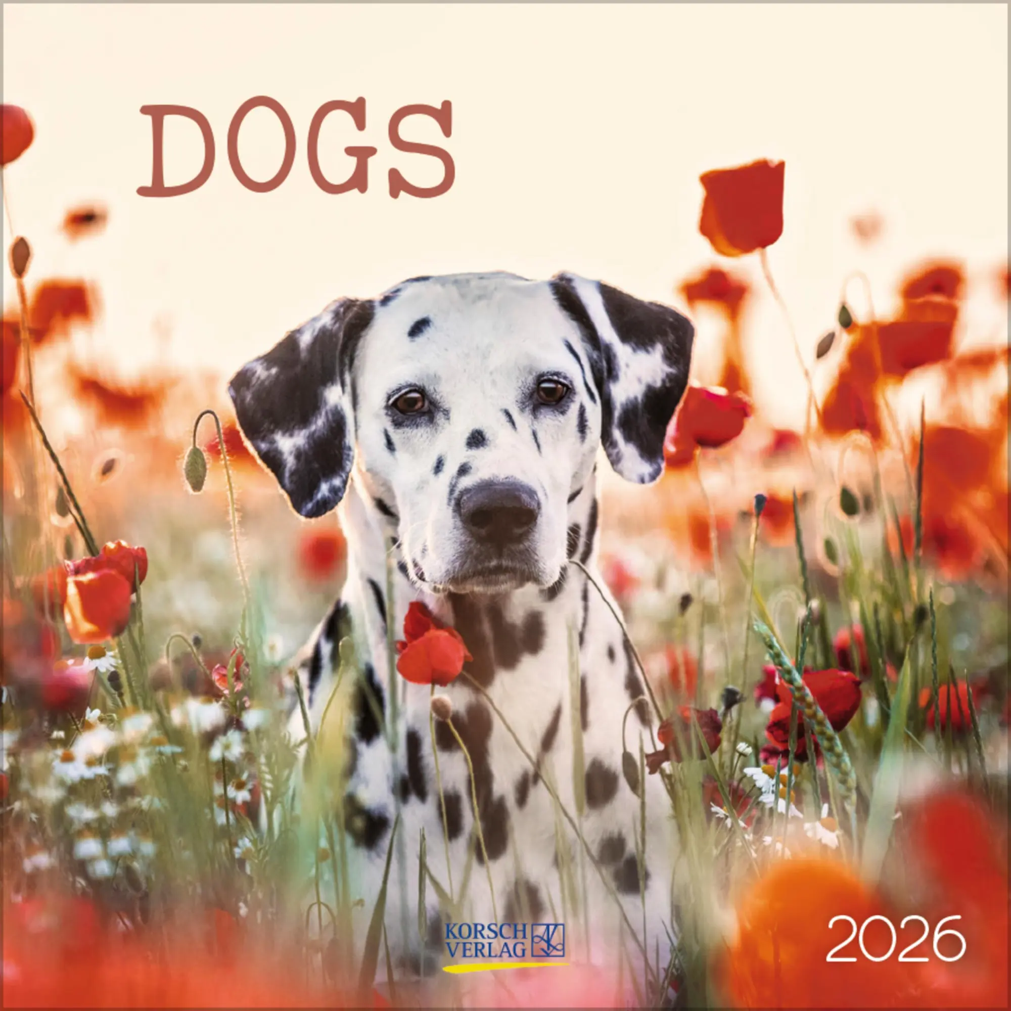 Cover: 9783731883784 | Dogs 2026 | Verlag Korsch | Kalender | 13 S. | Deutsch | 2026