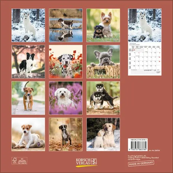 Bild: 9783731883784 | Dogs 2026 | Verlag Korsch | Kalender | 13 S. | Deutsch | 2026