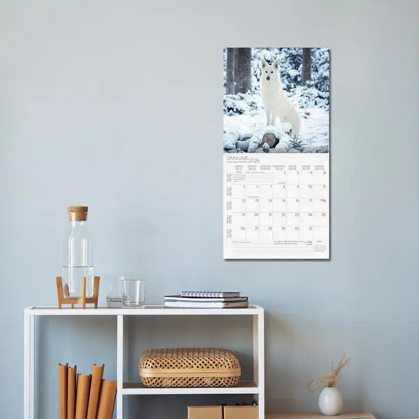 Bild: 9783731883784 | Dogs 2026 | Verlag Korsch | Kalender | 13 S. | Deutsch | 2026