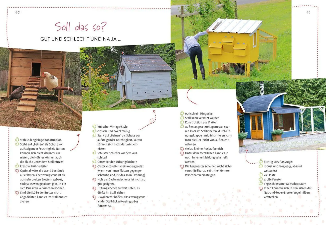 Bild: 9783818623784 | Im Garten gackert's | Mein Einsteiger-Guide für die Hühnerhaltung