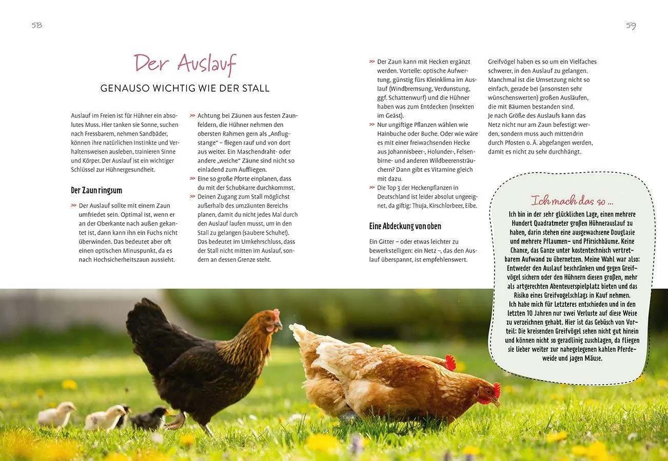 Bild: 9783818623784 | Im Garten gackert's | Mein Einsteiger-Guide für die Hühnerhaltung