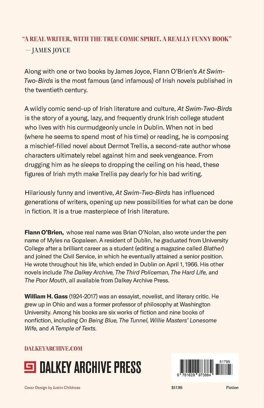 Rückseite: 9781628973884 | At Swim-Two-Birds | Flann O'Brien | Taschenbuch | Englisch | 2022