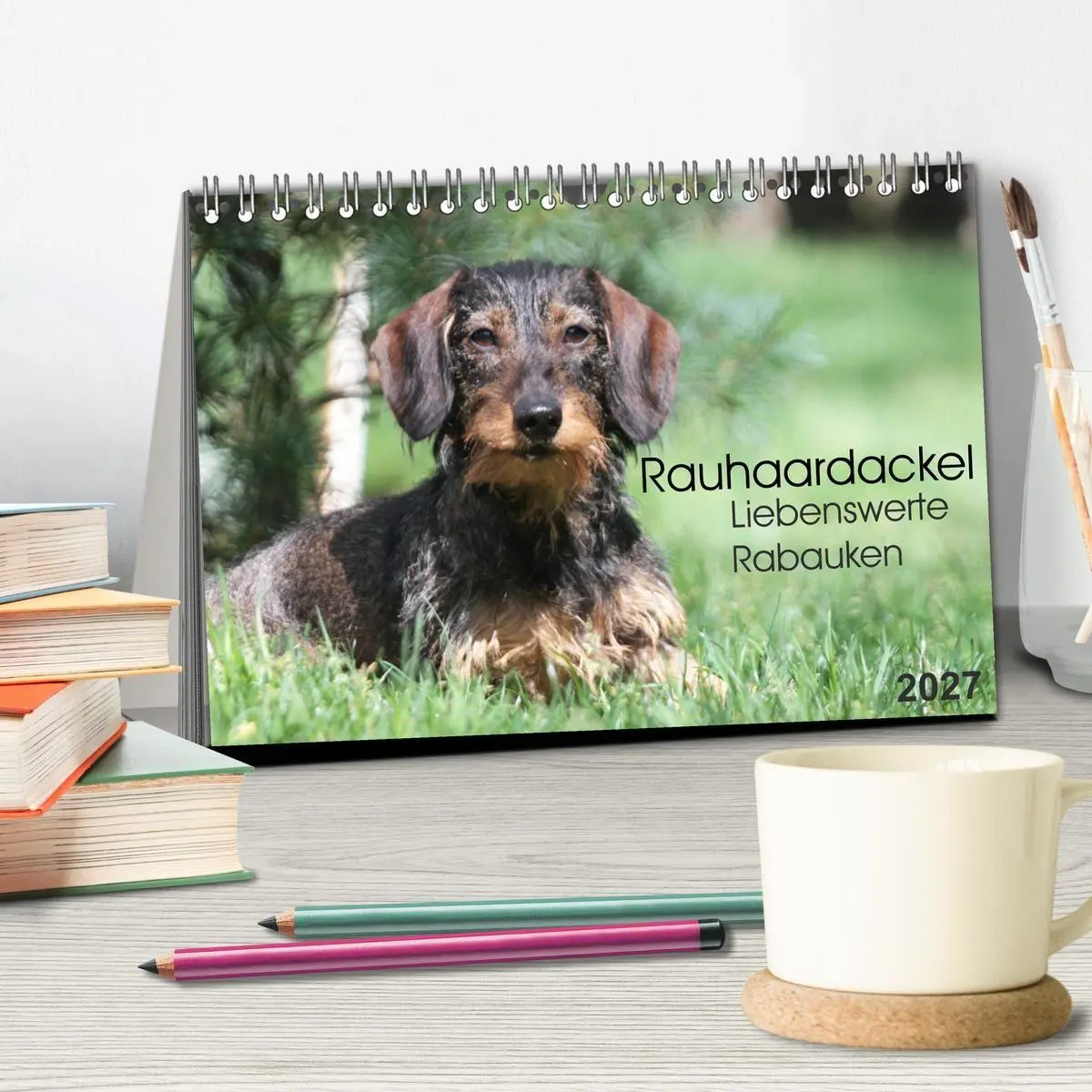 Bild: 9783594193884 | Liebenswerte Rabauken - Rauhaardackel (Tischkalender 2027 DIN A5...