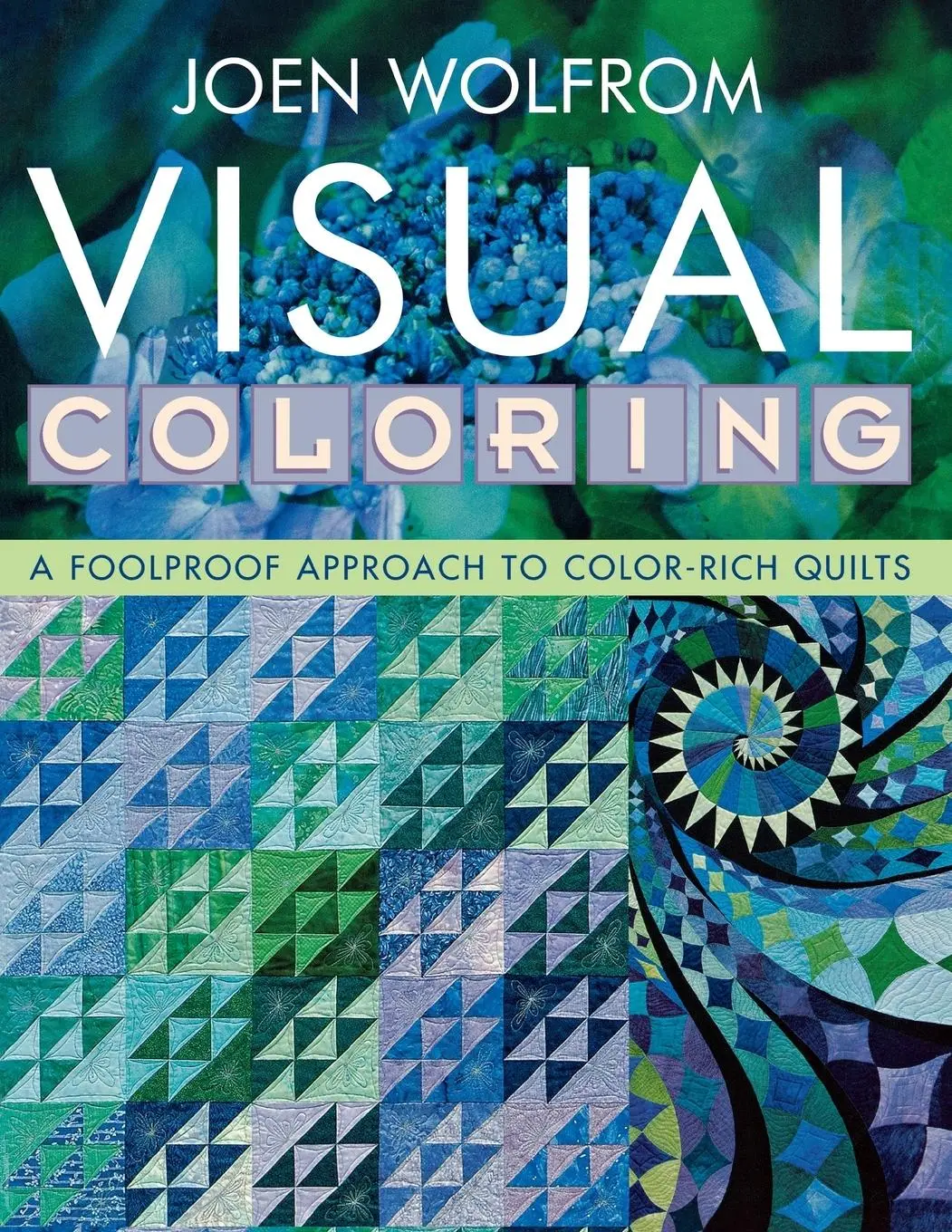 Cover: 9781571203984 | Visual Coloring | Joen Wolfrom | Taschenbuch | Englisch | 2007