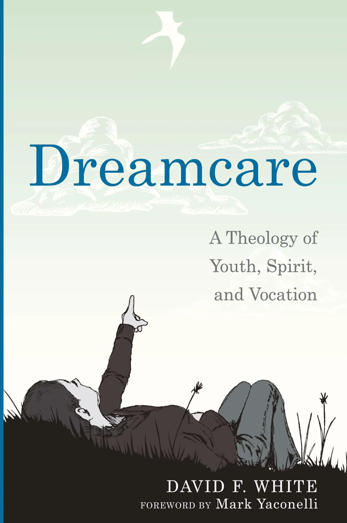 Cover: 9781620323984 | Dreamcare | David F. White | Taschenbuch | Englisch | 2013