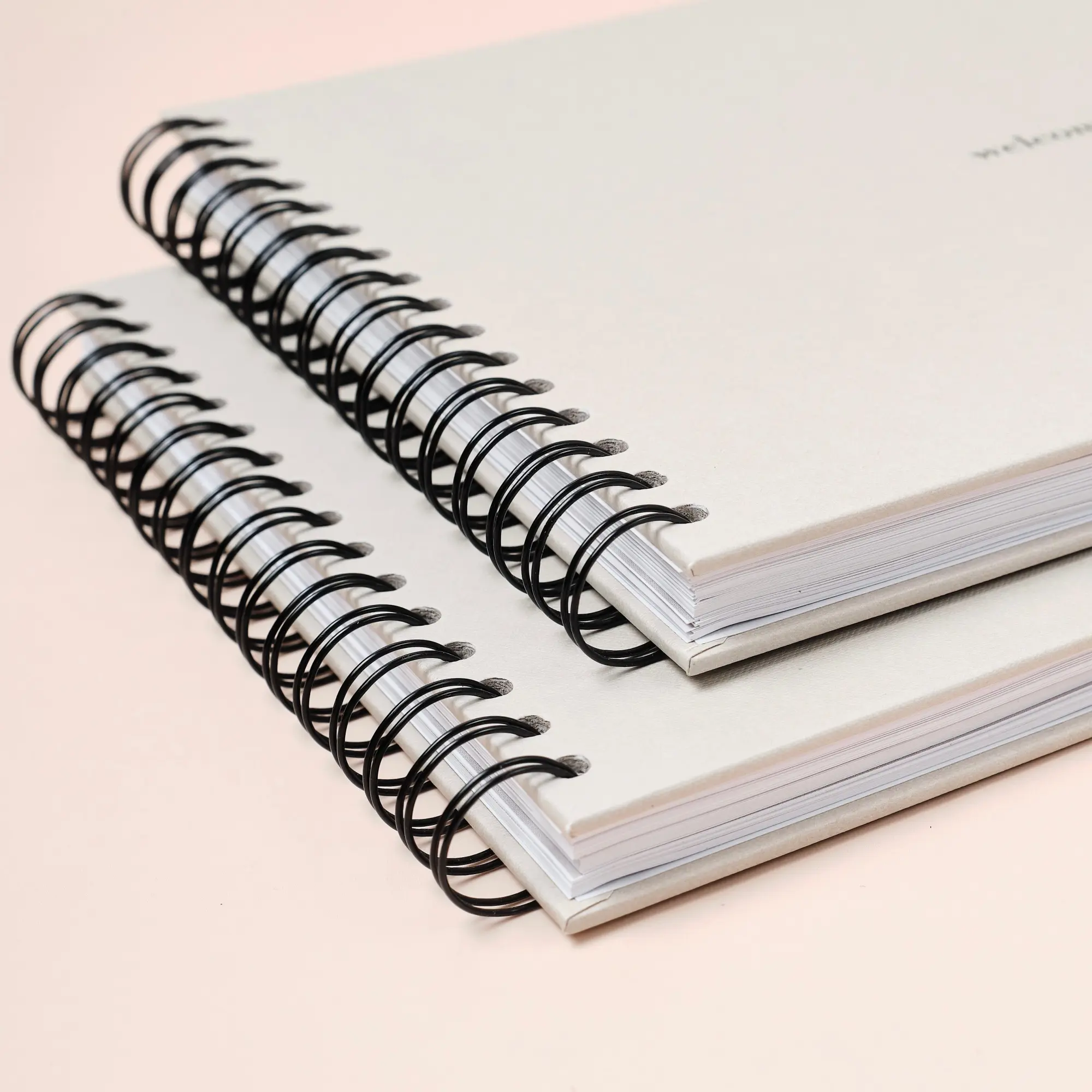 Bild: 9783690283984 | "welcome home" Familienbuch - 20 Mitglieder | Olesja Schalnich | Buch