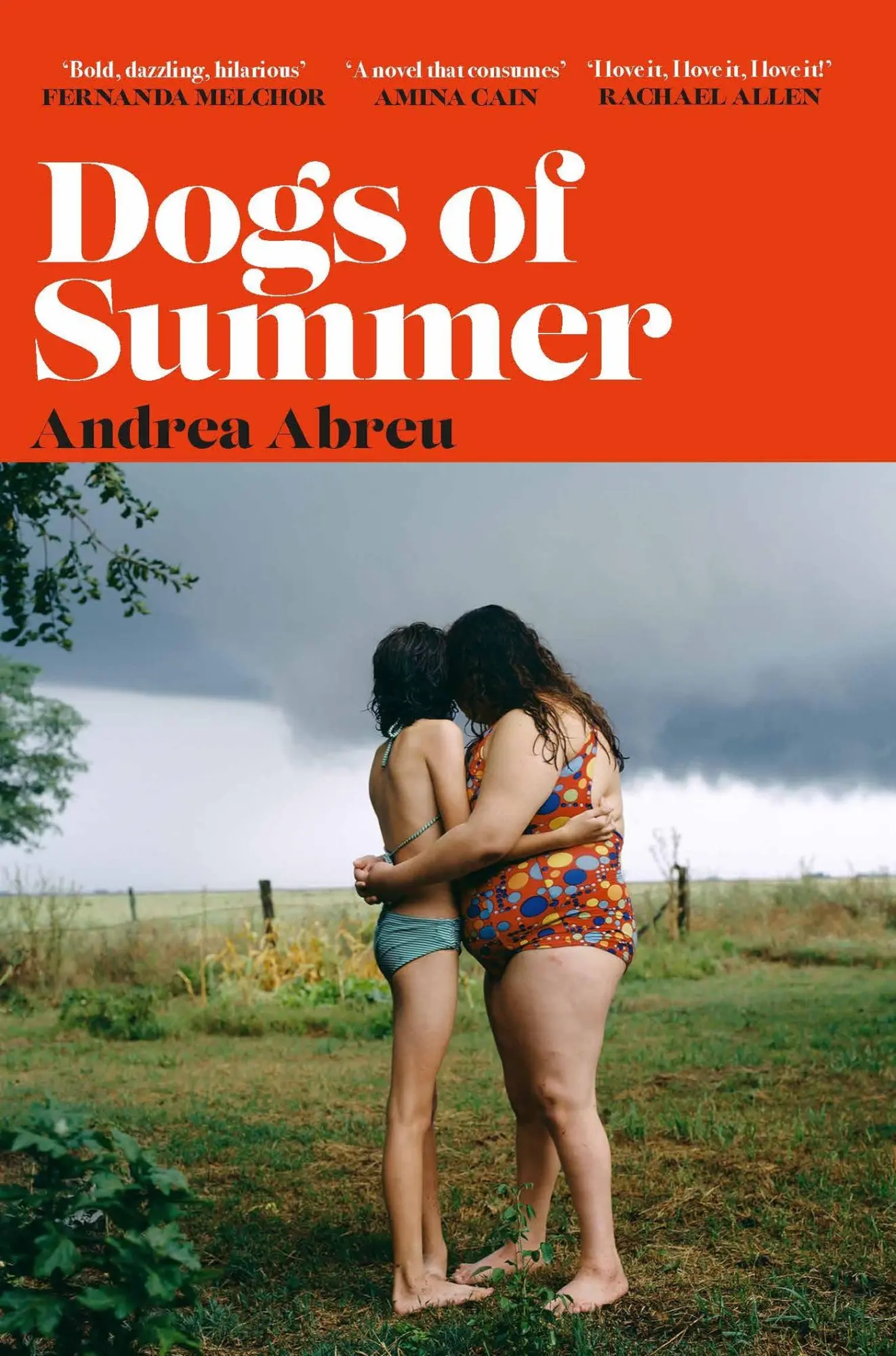 Cover: 9781474624084 | Dogs of Summer | Andrea Abreu | Taschenbuch | 176 S. | Englisch | 2023