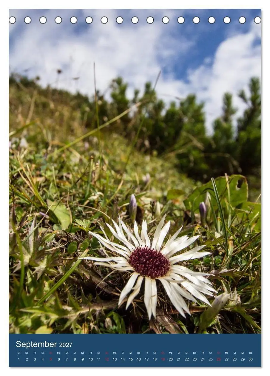 Bild: 9783594074084 | Karwendel - Hinterriss-Eng (Tischkalender 2027 DIN A5 hoch),...
